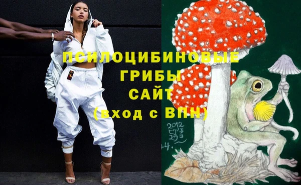 гашик Гусев