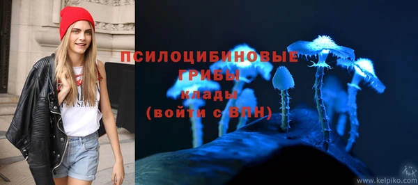 меф Гусь-Хрустальный