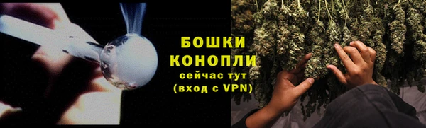 гашик Гусев