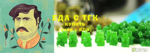 гашик Гусев
