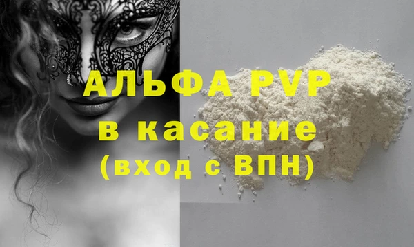 гашик Гусев