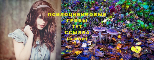 гашик Гусев