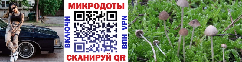 Купить где  Кандалакша  Галлюциногенные грибы Psilocybe 