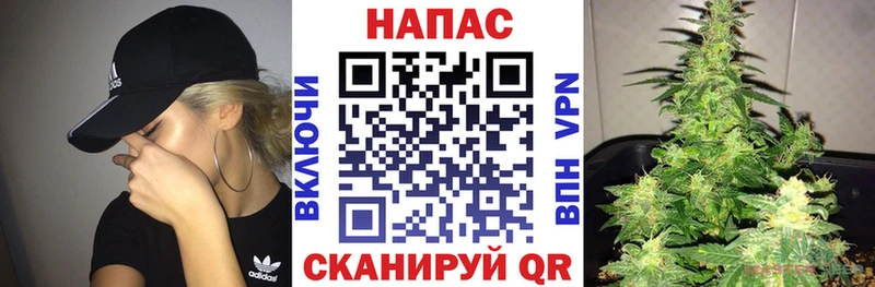 Купить где  Кандалакша  Бошки Шишки гибрид 